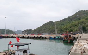 Cảnh sát Hải Phòng tìm thêm bị hại trong vụ cưỡng đoạt tài sản tại cảng Trân Châu