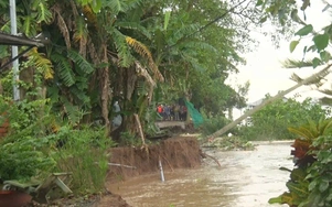 An Giang sạt lở dài 150m chia cắt tuyến đường giao thông nông thôn tại xã Mỹ Hòa Hưng