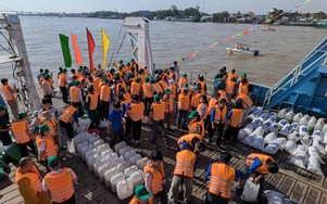 Thả hơn 2 tấn cá giống xuống sông Hậu để tái tạo nguồn lợi thủy sản