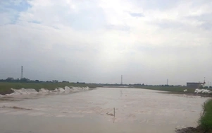 Nhà thầu lớn "lên dây cót" tăng tốc tiến độ thi công cao tốc Ninh Bình - Hải Phòng