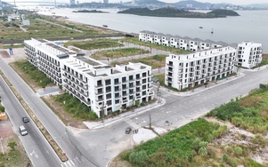 Tập trung xử lý vướng mắc để tăng tốc hai dự án bất động sản tại phường Cao Xanh