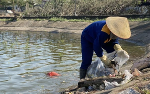 Hồ Linh Đàm ngập ngụa rác, công nhân căng mình dọn dẹp