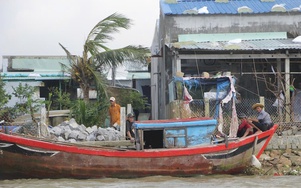 Ốc đảo Cồn Chim ở Gia Lai gượng dậy sau bão lũ