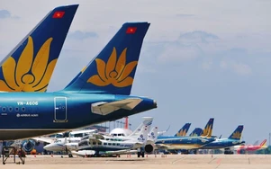 Cục trưởng Hàng không: Hạn chế tối đa hủy chuyến bay sau chỉ lệnh của EASA