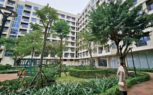 Xây "cao tốc" thực thi chính sách an cư: Thần tốc khởi công nhiều dự án