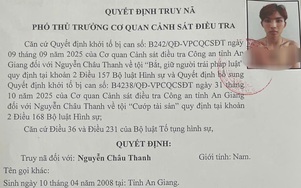 An Giang: Truy nã đối tượng bắt giữ người trái pháp luật và cướp tài sản