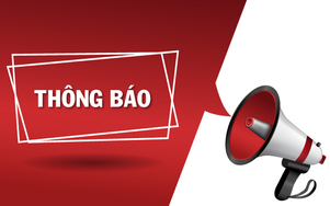 Cảng HKQT Nội Bài mời báo giá trang trí nhà ga đón Noel, tết Dương lịch năm 2026