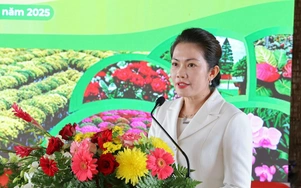 Đồng Tháp: Sắp có Festival hoa Sa Đéc với hàng ngàn chậu kiểng, bon sai