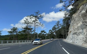 Lâm Đồng: Tạm dừng lưu thông qua đèo Prenn từ 11h - 17h ngày 8/12 để chặt hạ cây