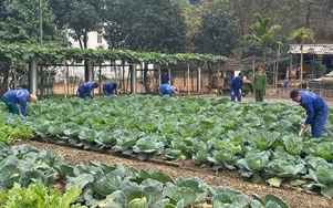 Những học viên đặc biệt giữa lòng hồ Thác Bà