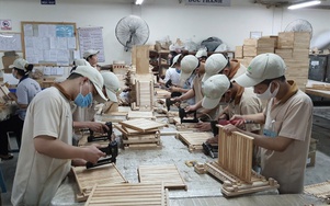 53% người tìm việc là trung niên, gần 81% mong muốn nhận lương 5 - 10 triệu đồng/tháng