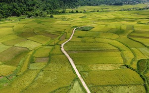 Miền Tây Thanh Hóa đẹp mê hồn giữa núi rừng, thác đổ và mùa vàng