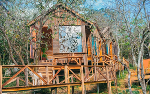 Homestay, farmstay trên đất nông nghiệp: Giấc mơ đẹp nhưng dễ "mắc cạn" pháp lý