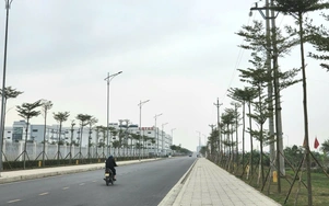 Thúc đẩy hợp tác quốc tế tại KCN Liên Hà Thái
