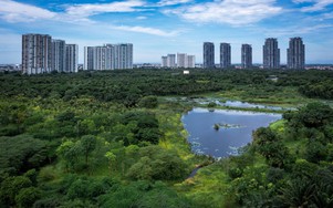 Yếu tố sống xanh được định hình vượt lên trên mọi tiêu chí