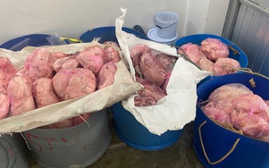 Gia Lai: Tiêu hủy hơn 1 tấn thịt heo và chả ram không rõ nguồn gốc