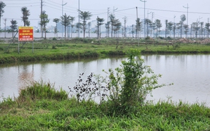 Loại đất được miễn thuế từ năm mới 2026