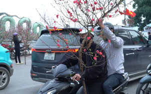 Giao thông cận Tết:  Khi áp lực mưu sinh "lấn làn" an toàn cộng đồng