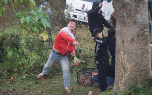 Độc đáo phiên chợ ném cà chua lấy may ở Thanh Hoá