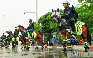 Cận cảnh đoàn CSCĐ kỵ binh đảm bảo an ninh trước giờ khai mạc SEA Games 31