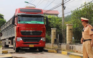 Gần 1.000 tài xế ở Hà Giang bị tước giấy phép lái xe