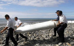Bí ẩn vụ máy bay MH370 mất tích có thể giải đáp nhờ 1 loài động vật?