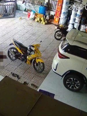Vụ nổ súng bắn người rồi tự sát ở Vĩnh Long, nguyên trưởng công an huyện báo cáo gì?