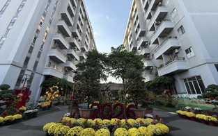 Chủ tịch UBND TP.HCM giao HoREA xây dựng đề án phát triển nhà ở xã hội