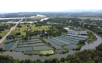 Quảng Ngãi giao thêm 380.000m2 đất cho doanh nghiệp làm dự án bất động sản