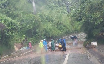 Thông đường lên bán đảo Sơn Trà sau mưa lũ