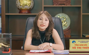 Bí ẩn 1.000 tỷ 'chưa rõ đi đâu' trong vụ bất động sản Nhật Nam