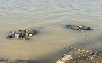 Phát hiện 2 thi thể nam giới trôi dạt trên sông Lam