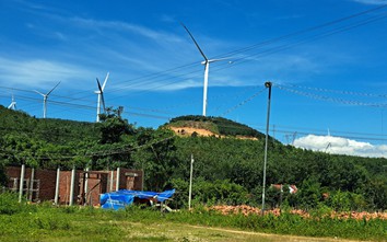 Chiếm đất rừng làm điện gió Tân Tấn Nhật, gần ba năm mới phát hiện
