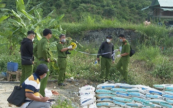 Khởi tố loạt đối tượng khai thác vàng trái phép trong rừng sâu ở Bình Thuận