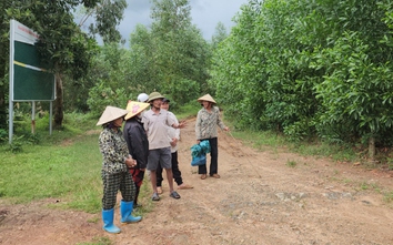 Quảng Ngãi: Dân bất ngờ bị thu hồi đất khai hoang hơn 40 năm