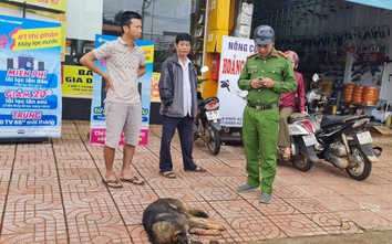 Tiêu diệt con chó tấn công hai học sinh ở Đắk Nông bị thương