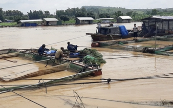 Đồng Nai muốn sớm có bản đồ ngập lụt vùng hạ du thủy điện Trị An