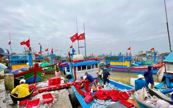 Xác minh thông tin tàu cá Quảng Ngãi gỡ thiết bị hành trình để trục lợi chính sách