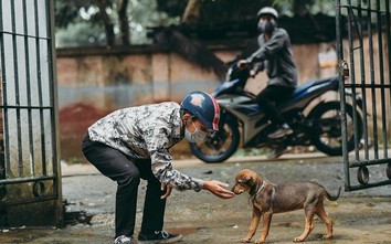 Điều tra vụ nghi can trộm chó ở Bình Thuận tử vong chưa rõ nguyên nhân