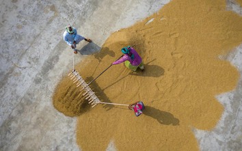 Giám đốc Đài quan sát Trái đất Singapore cầu mong El Niño "chỉ như đốm lửa"