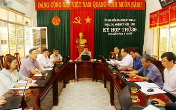 Chủ tịch Ủy ban Mặt trận Tổ quốc Việt Nam tỉnh Gia Lai sai phạm gì?
