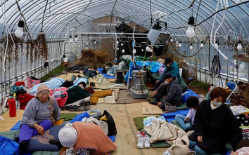 Động đất tại Nhật Bản: Lo ngại thảm họa chồng thảm họa