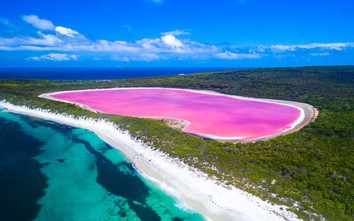 Khám phá hồ màu hồng nổi tiếng ở Úc
