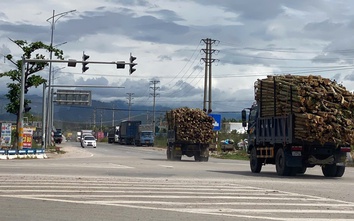 TP Hạ Long: Nhiều đèn tín hiệu giao thông phập phù, nguy cơ mất an toàn giao thông