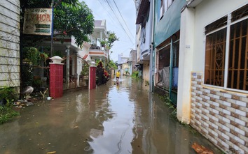 Mưa lớn kèm dông lốc, nhiều tuyến đường Lâm Đồng ngập nặng, cây cối ngã đổ