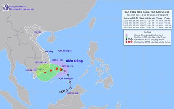 Áp thấp nhiệt đới mạnh lên thành bão số 10, Trung Bộ và Nam Bộ mưa lớn