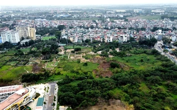 Hà Nội: Quận Hoàng Mai đấu giá 44.000m2 đất tại Linh Đàm