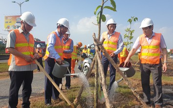 Hàng nghìn cây xanh được trồng dọc các tuyến quốc lộ sau Tết