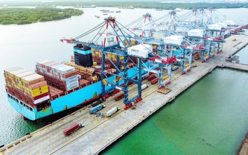 Cảng biển rục rịch tăng giá bốc dỡ container
