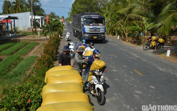 Đường sụt lún ô tô không thể qua, nông dân Cà Mau thuê xe máy chở lúa ra điểm tập kết